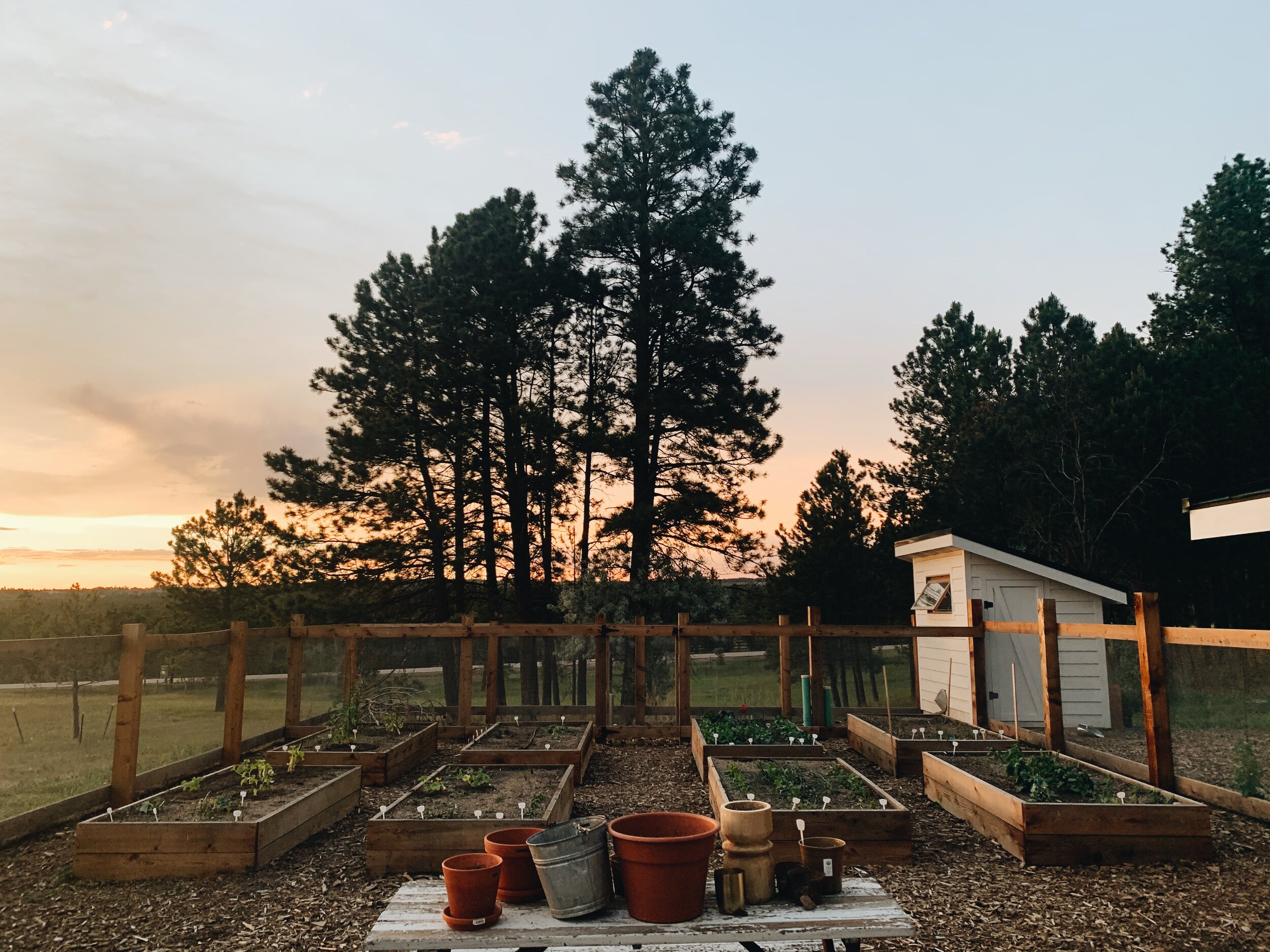Summer Garden Dinner | Black Forest