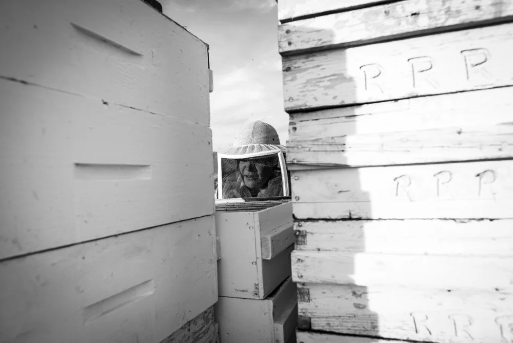 2014-08-04-John_Reynolds-Val_Marie-228