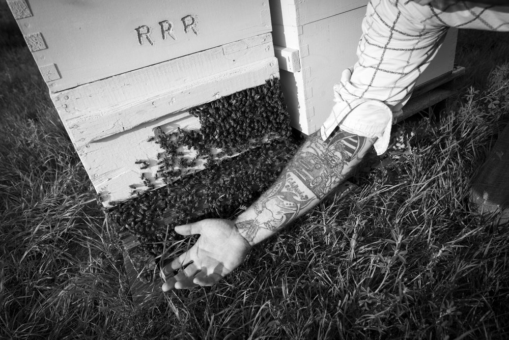 2014-08-04-John_Reynolds-Val_Marie-3