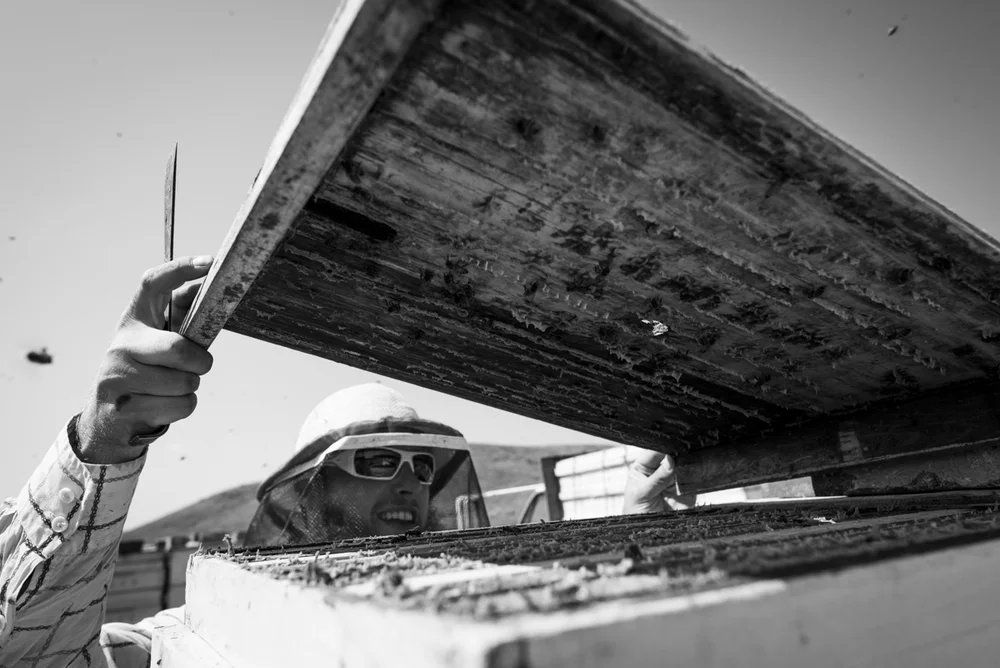 2014-08-06-John_Reynolds-Val_Marie-55