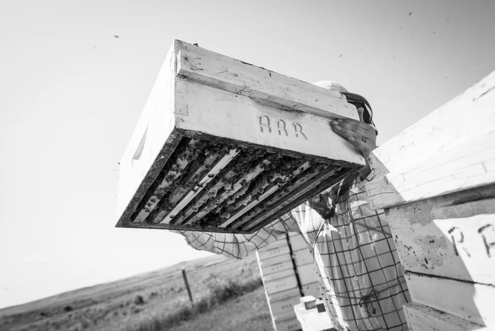 2014-08-06-John_Reynolds-Val_Marie-58