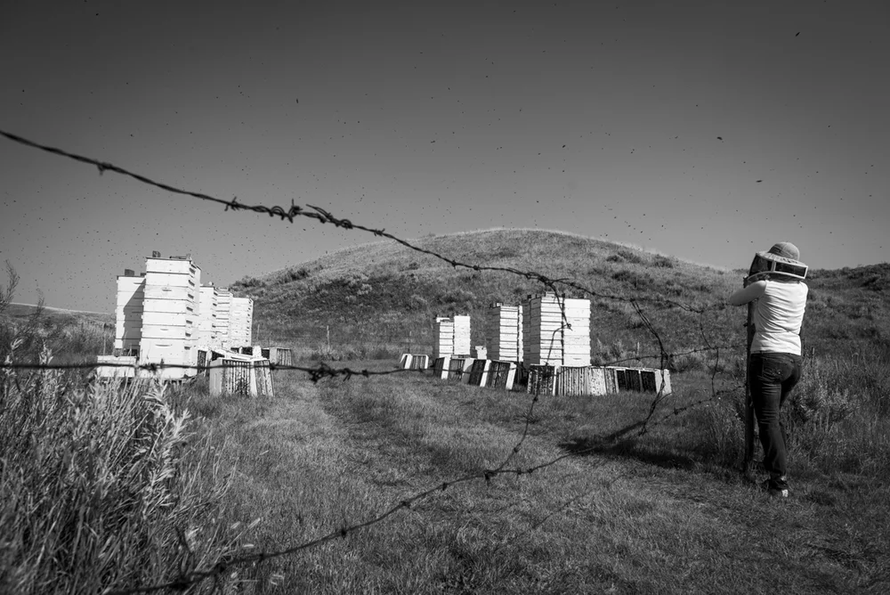 2014-08-06-John_Reynolds-Val_Marie-636