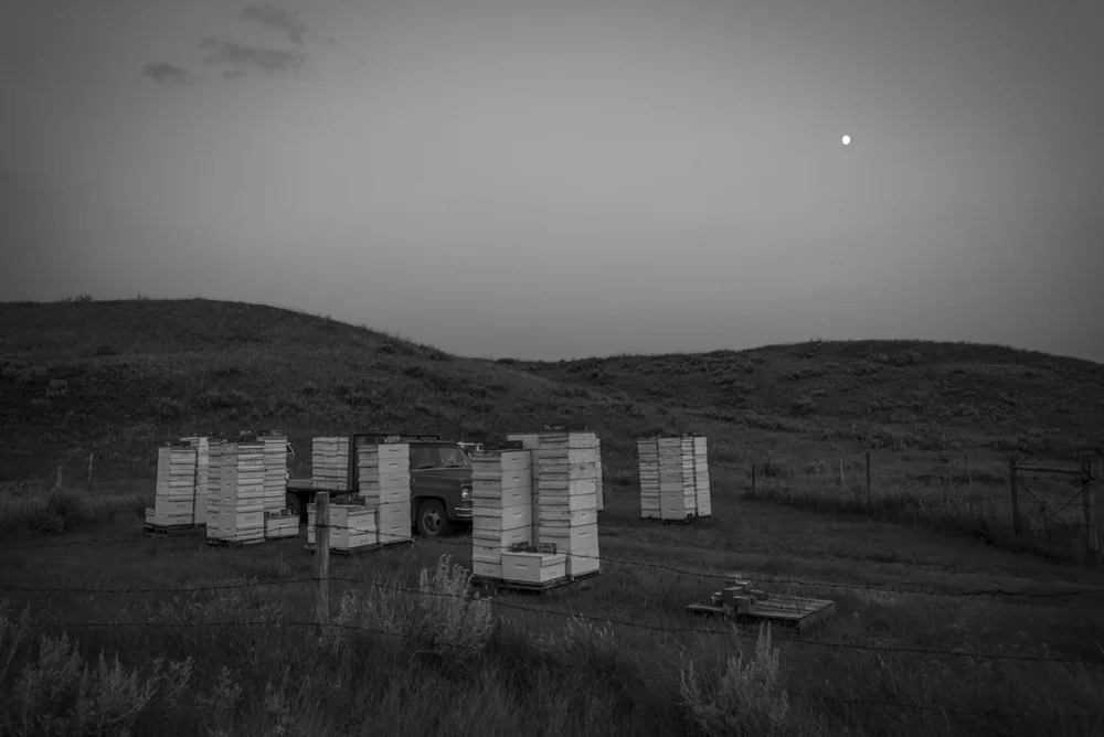 2014-08-06-John_Reynolds-Val_Marie-729