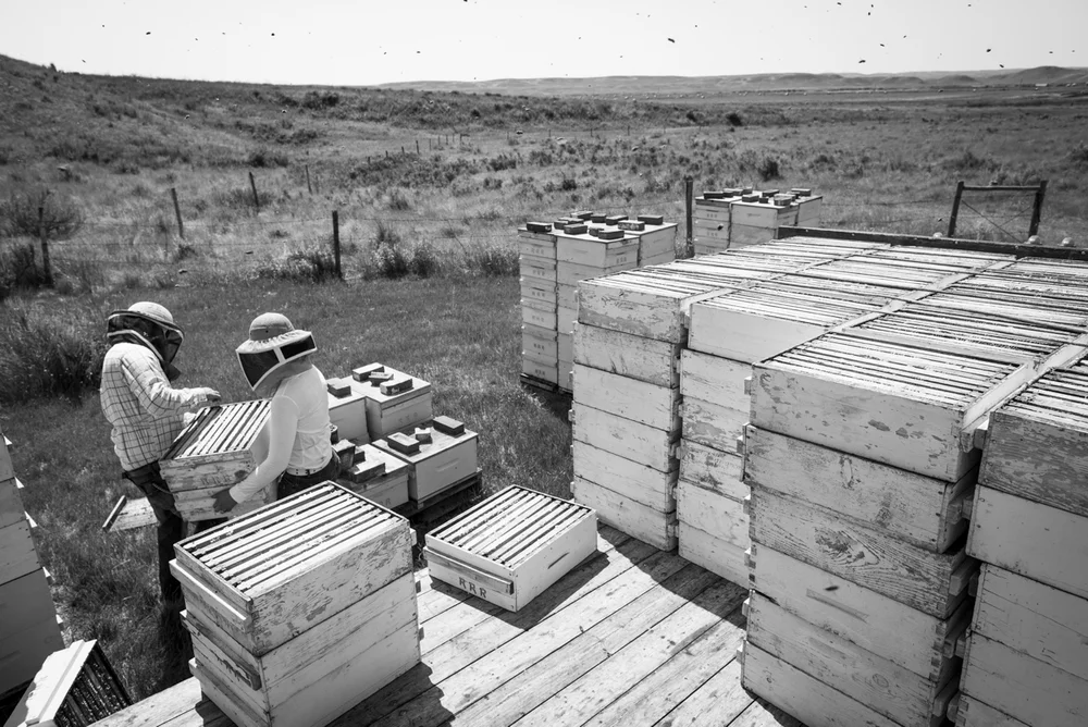 2014-08-06-John_Reynolds-Val_Marie-88