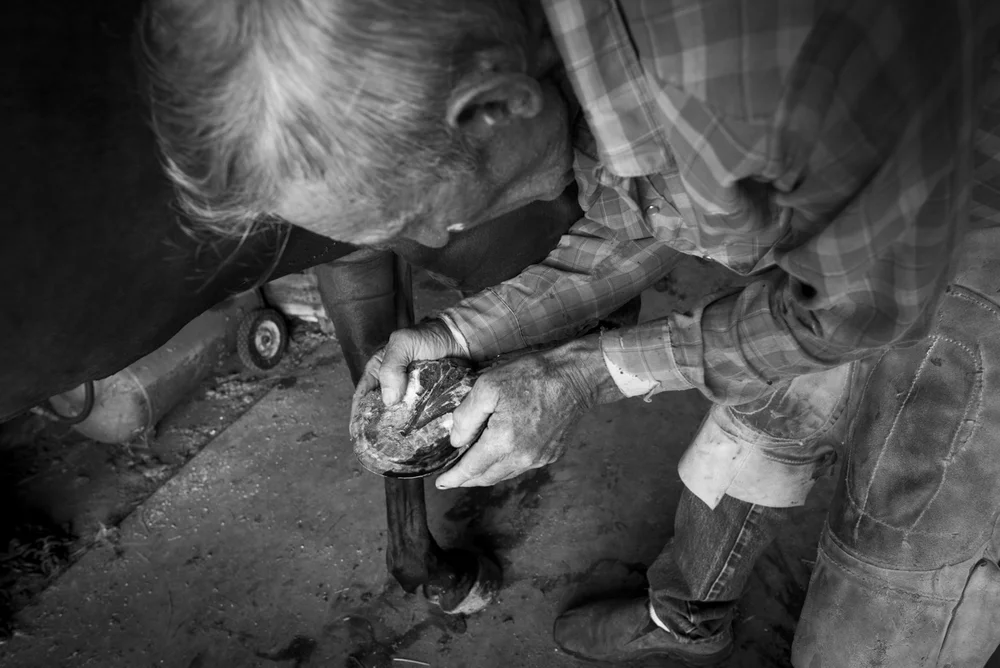 2014-08-08-Jim_Commodore-113