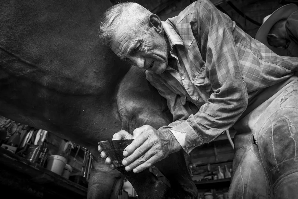 2014-08-08-Jim_Commodore-116