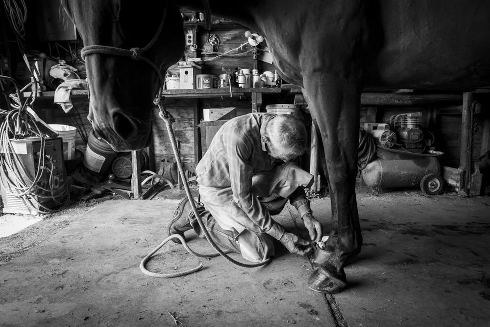 2014-08-08-Jim_Commodore-130