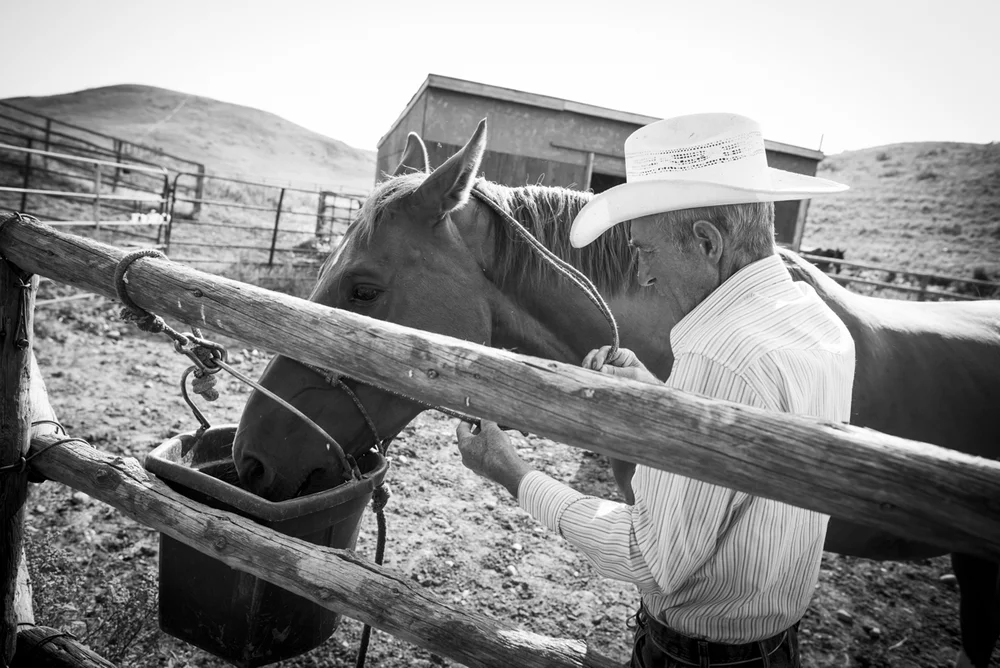 2014-08-08-Jim_Commodore-20
