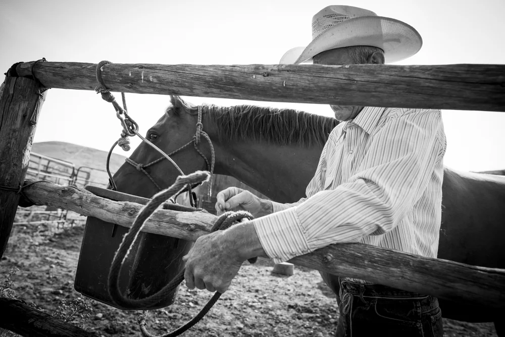 2014-08-08-Jim_Commodore-23