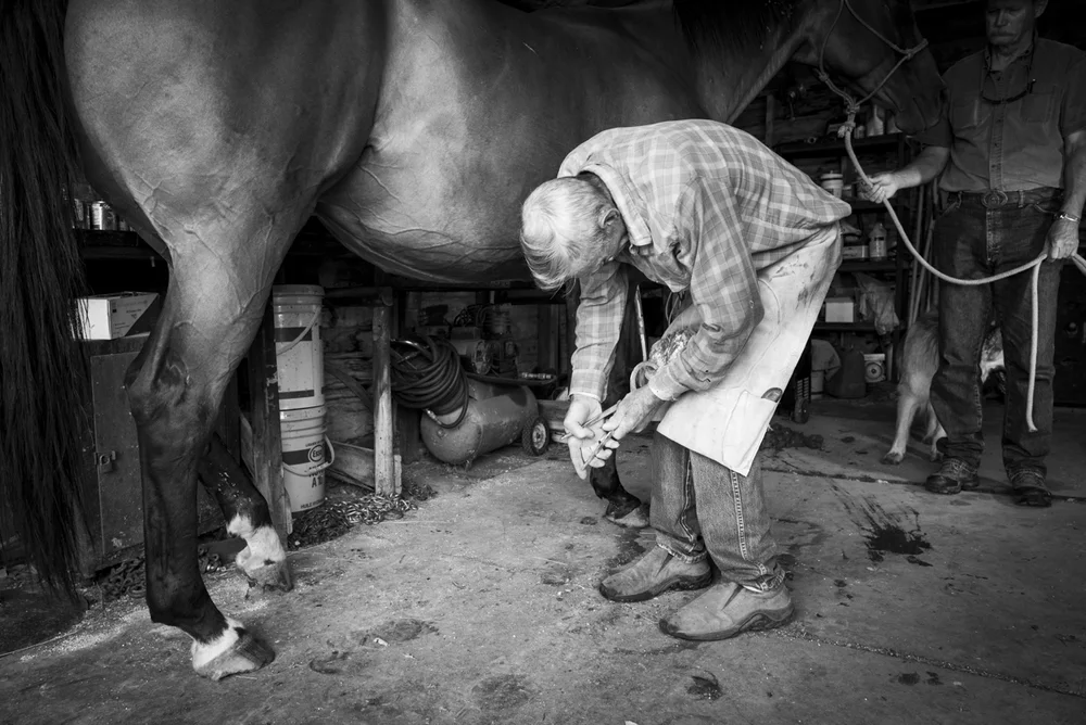 2014-08-08-Jim_Commodore-81