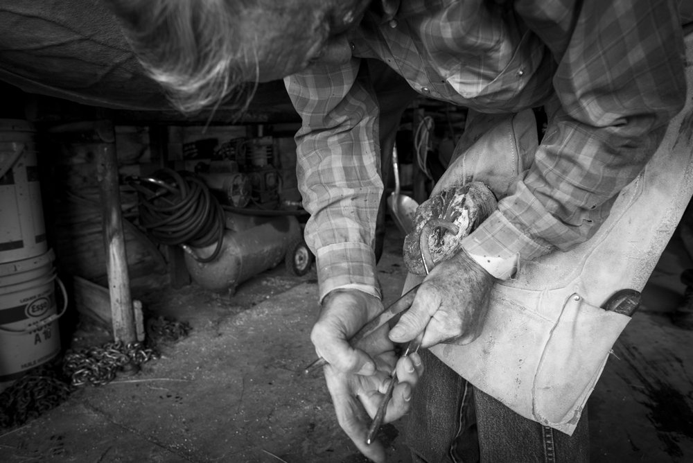 2014-08-08-Jim_Commodore-84