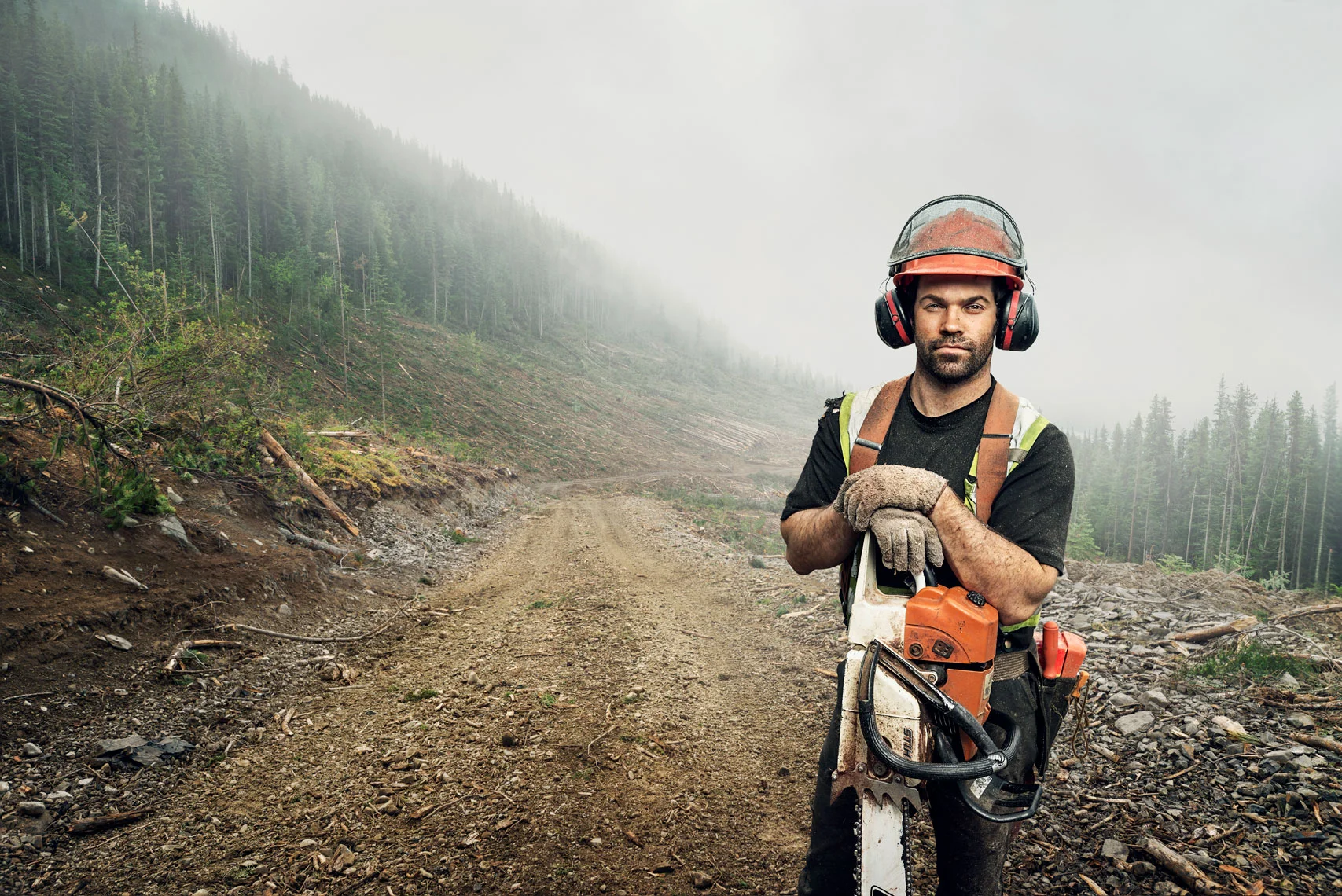Tree Felling In Northern BC | Back To The Land