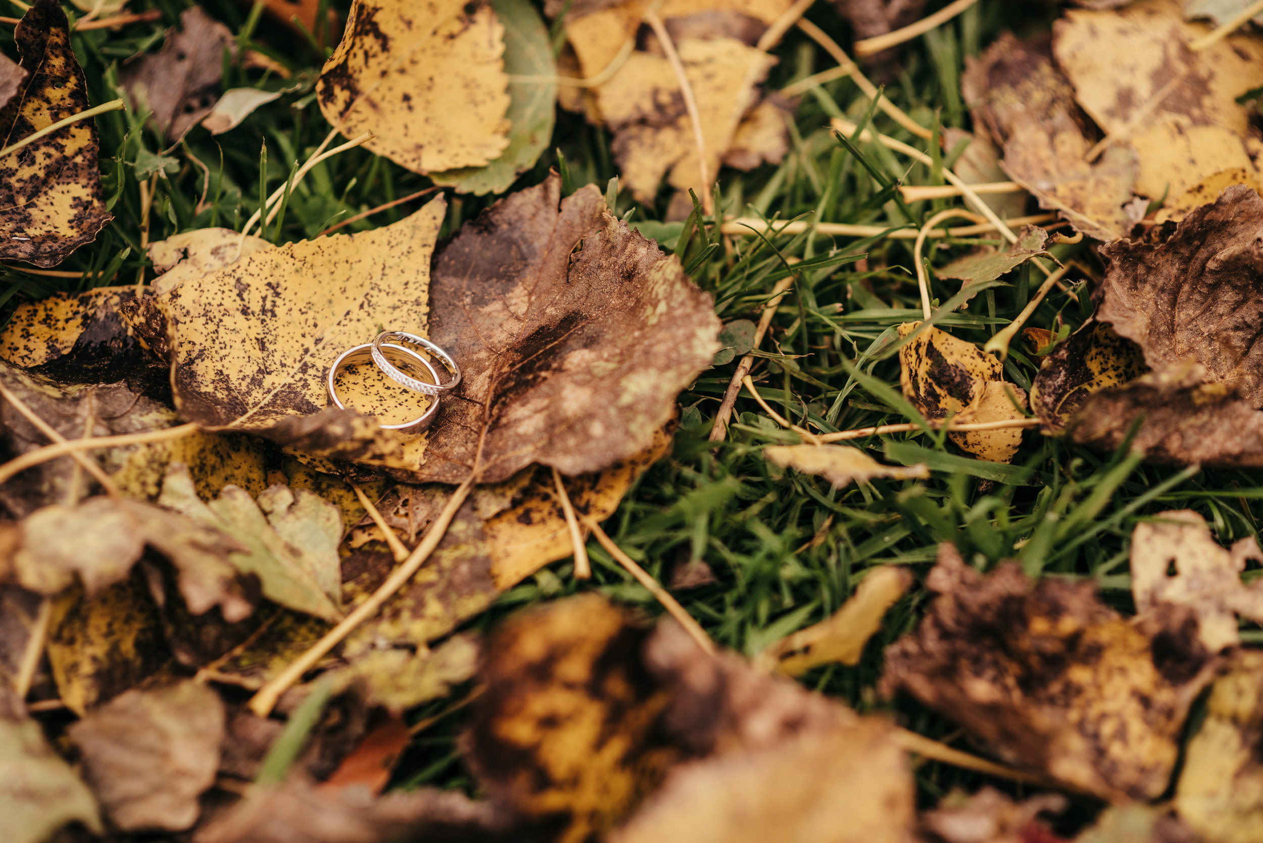 Outdoor Autumn Wedding Scotland