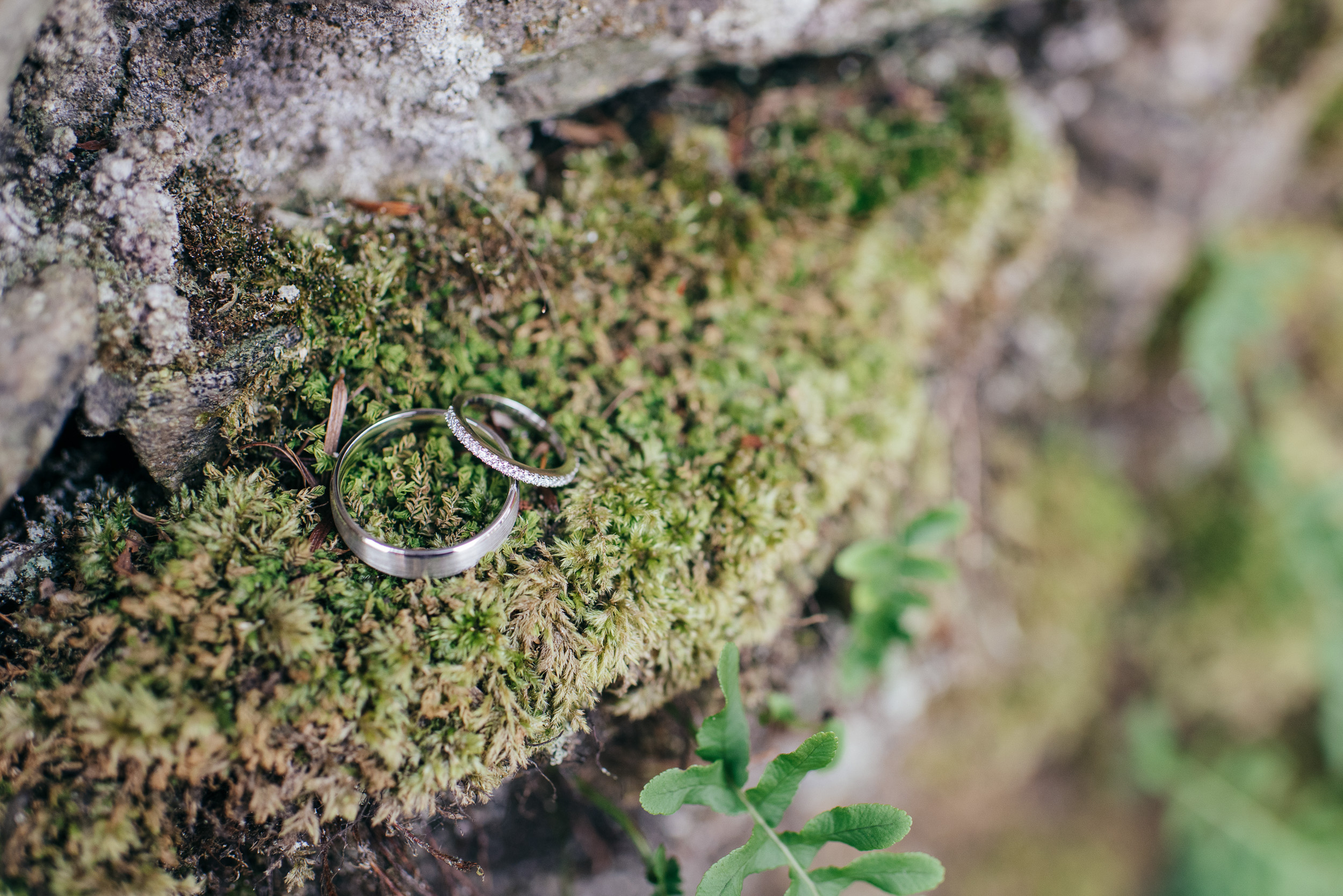Scottish Wedding Rings