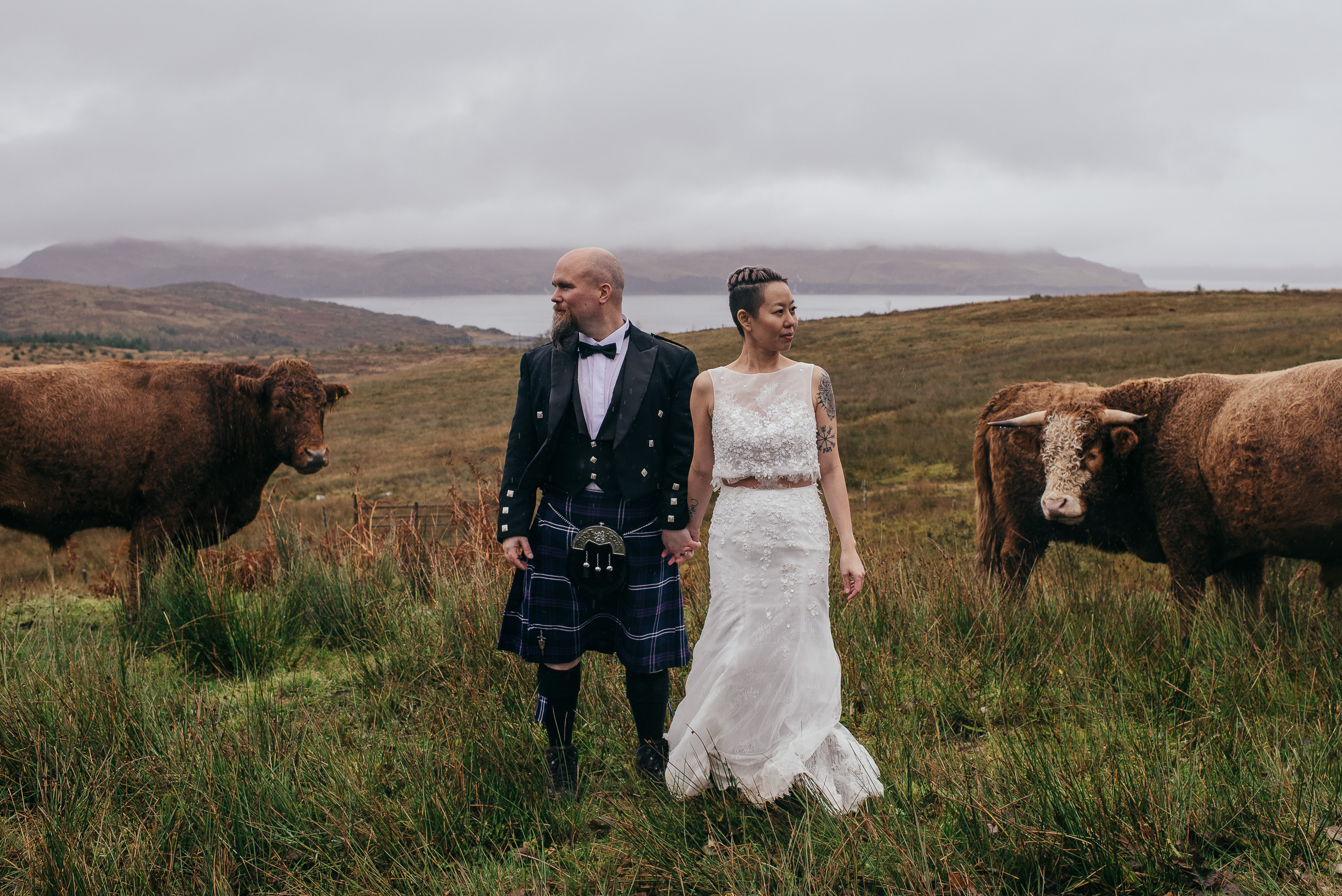 Bride and groom with highland cows Isle of Skye