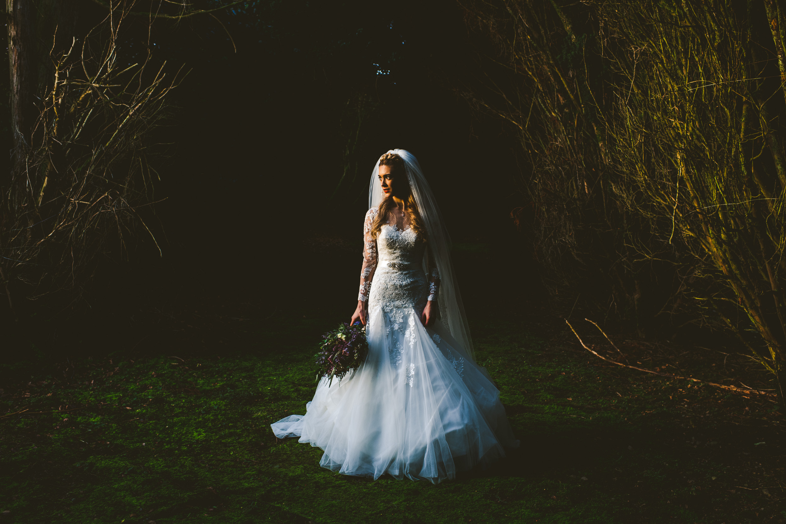 Beautiful bride in the woods