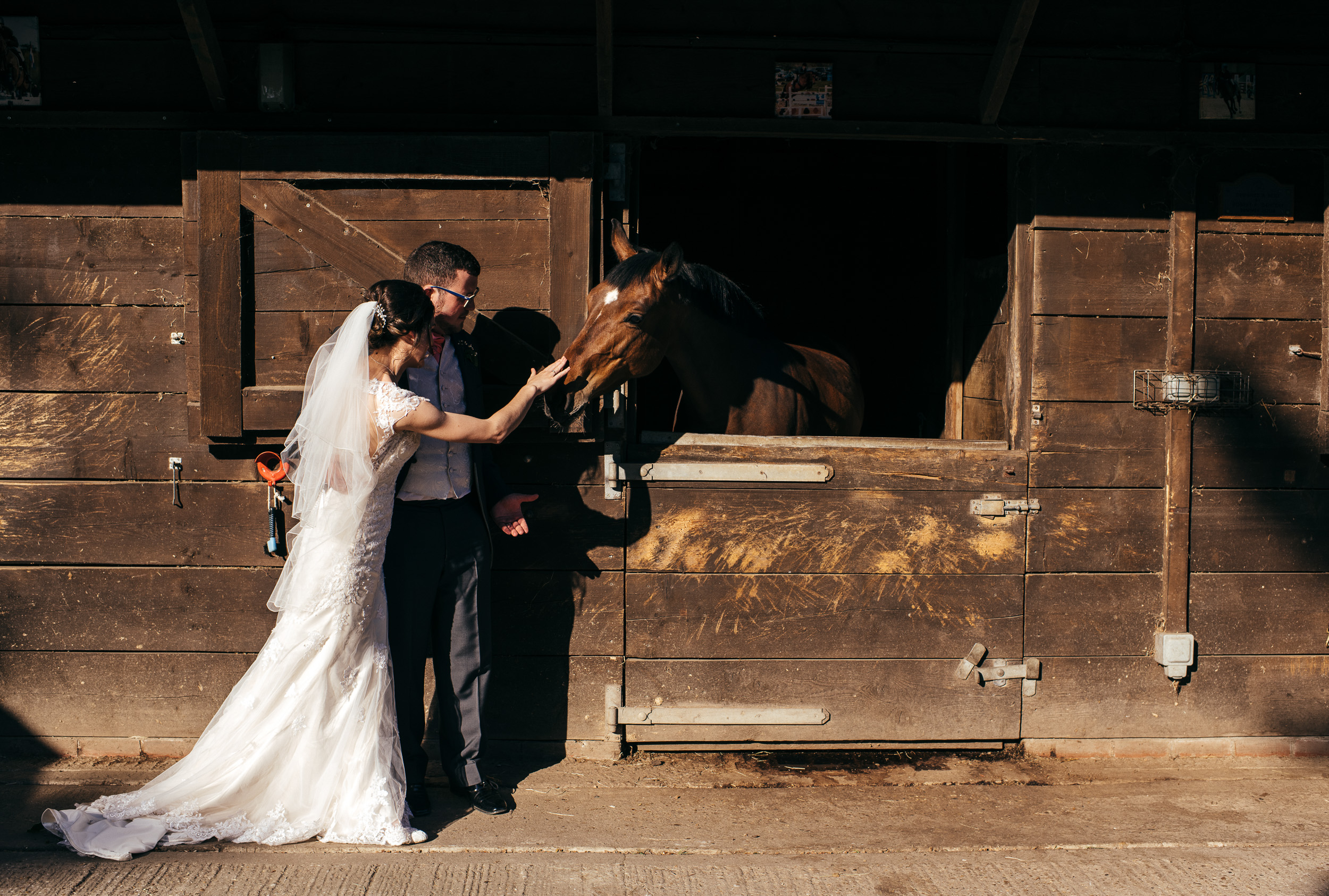 Bride and groom with horse