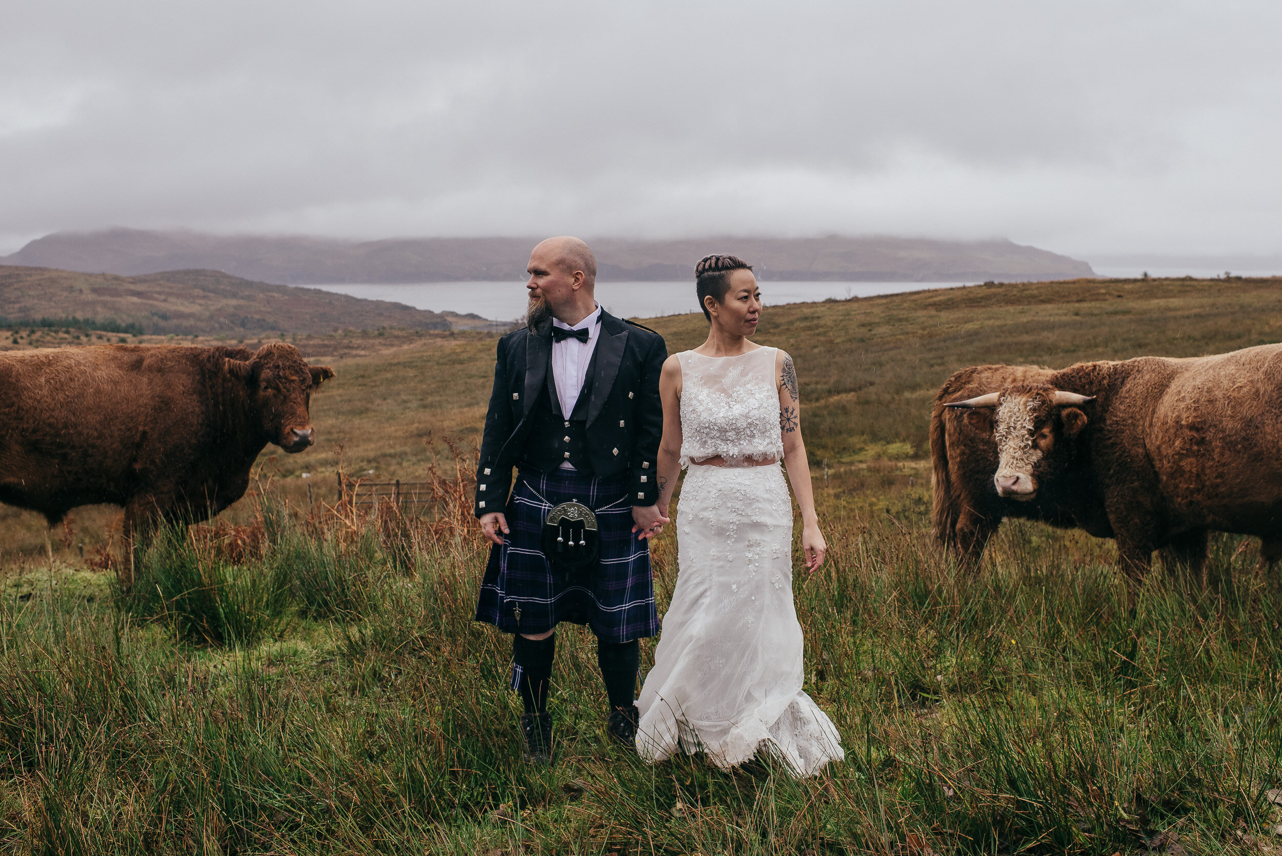 Highland Cows Wedding