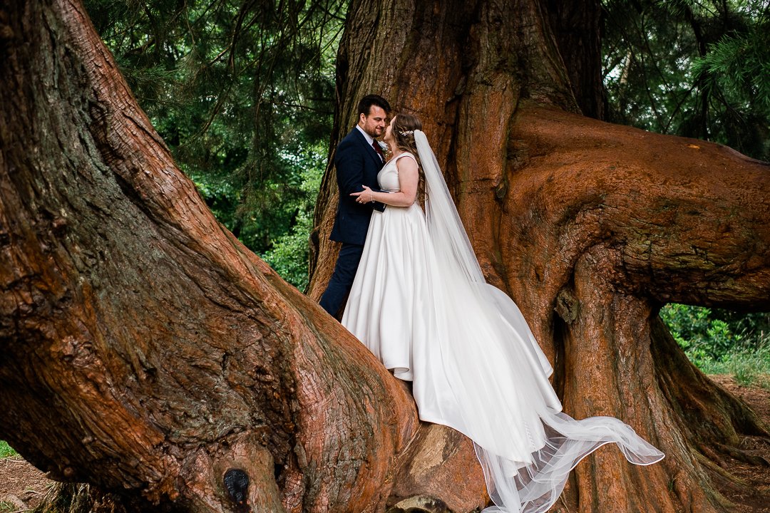 Bride and groom up a tree