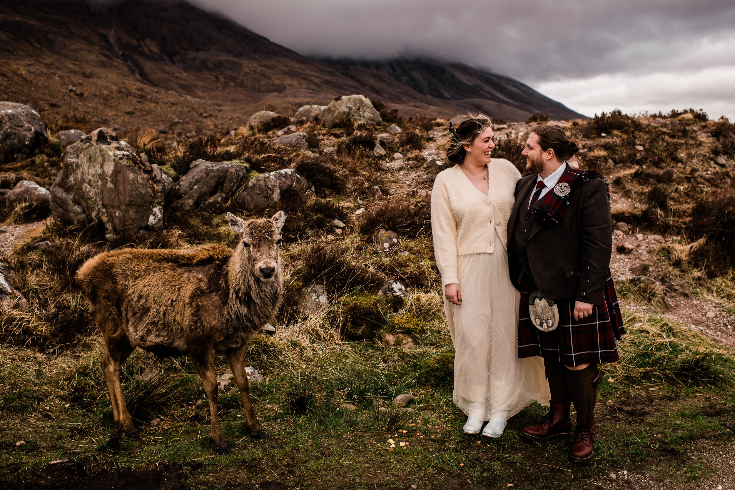 Bride and groom with a deer in Torridon