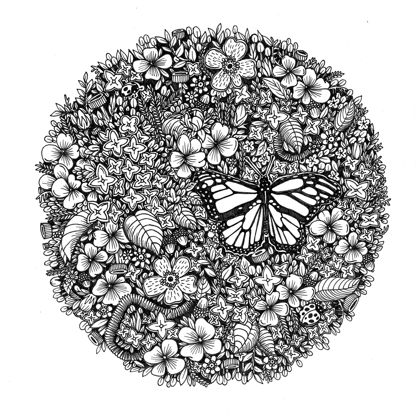 Stempel_Coloring_Floral.jpg