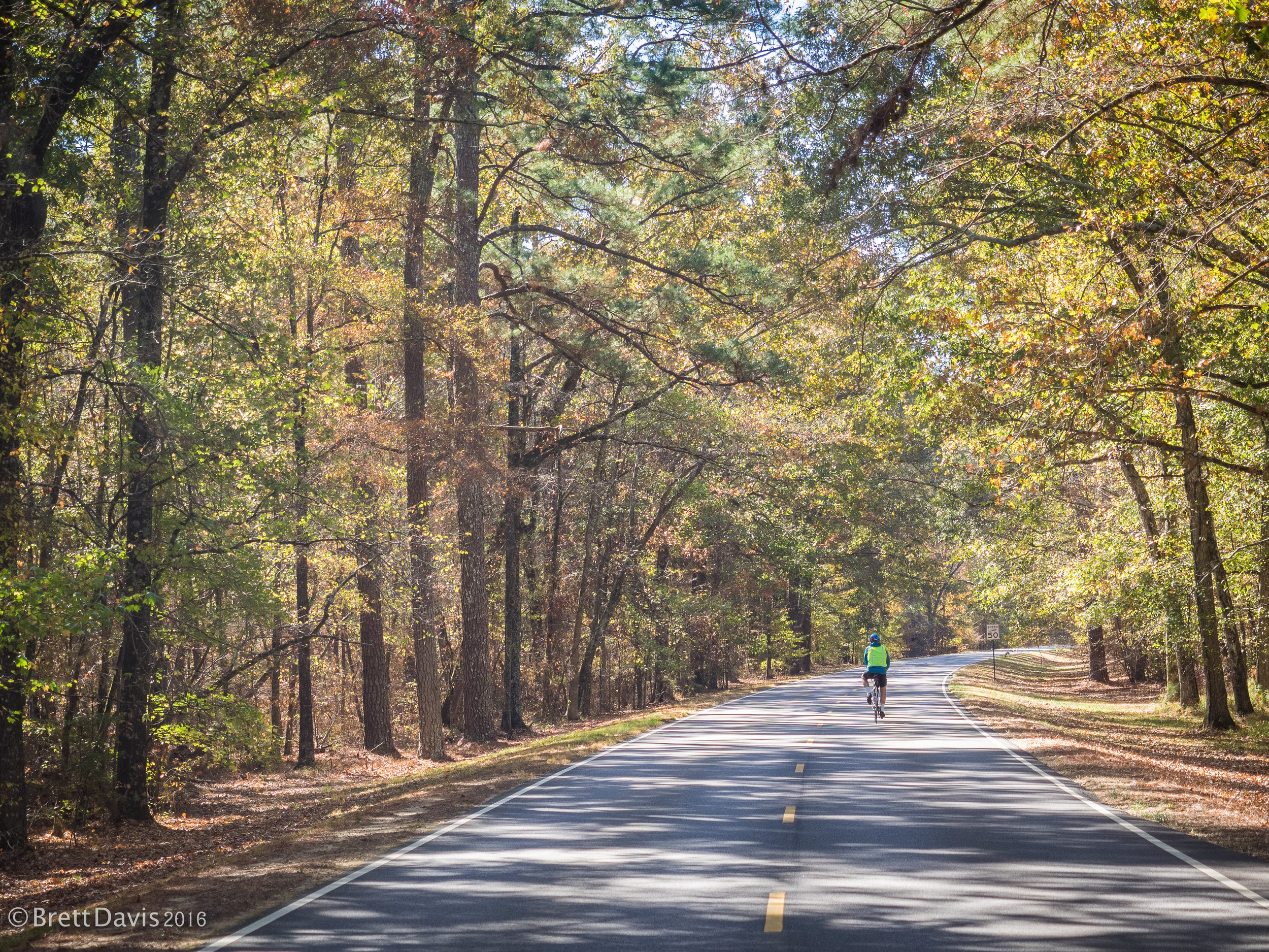 The Natchez Trace at its finest. 