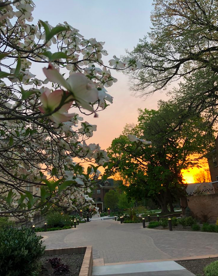 I took this on my walk to vespers. It’s been really nice having the sun go down later, especially because it means I can walk through the sunset.
