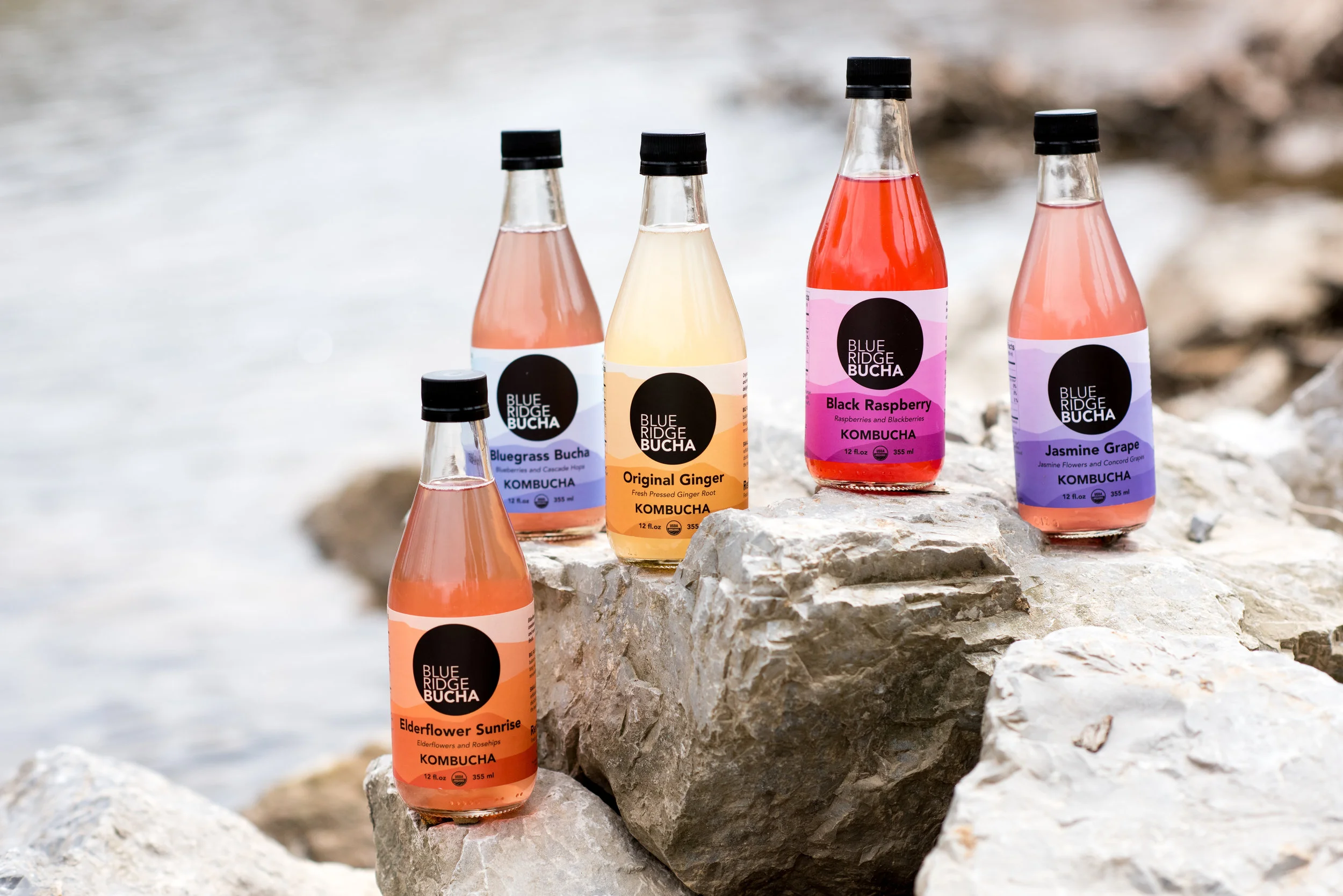 What Is Kombucha? — Blue Ridge Bucha
