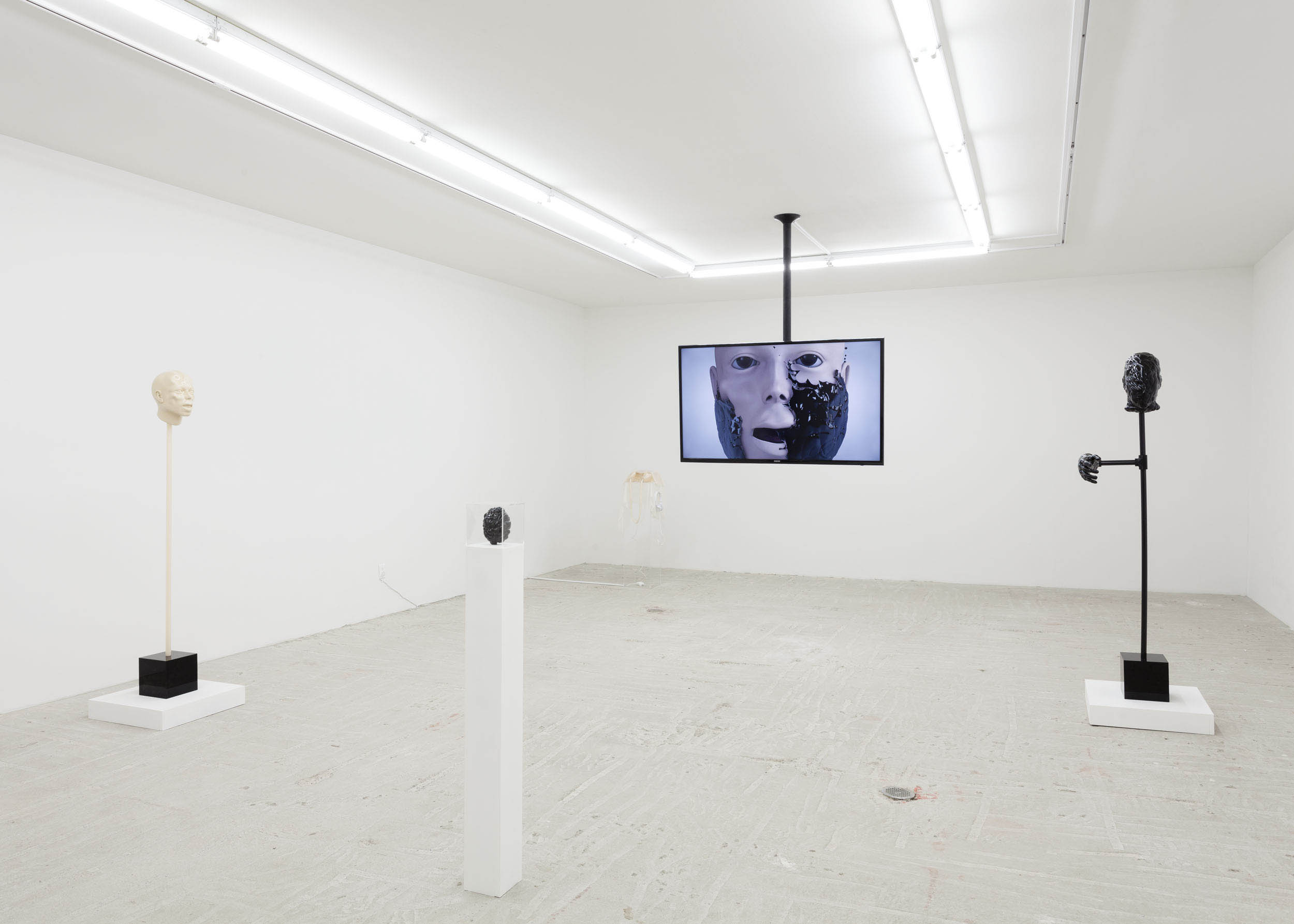 Master Dynamic: Frontier, Installation view, Lyles & King, NY