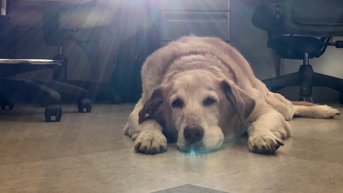Long day in the lab