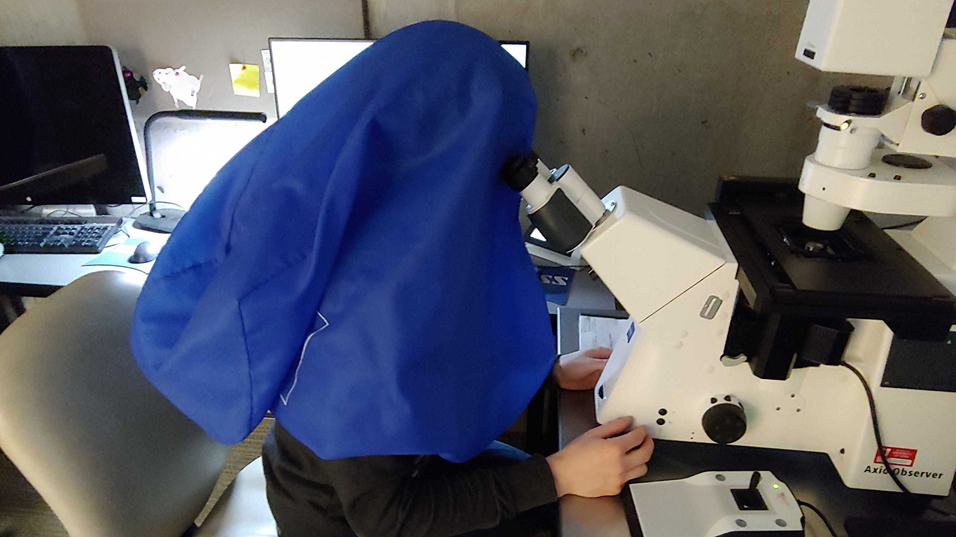 Max on the microscope