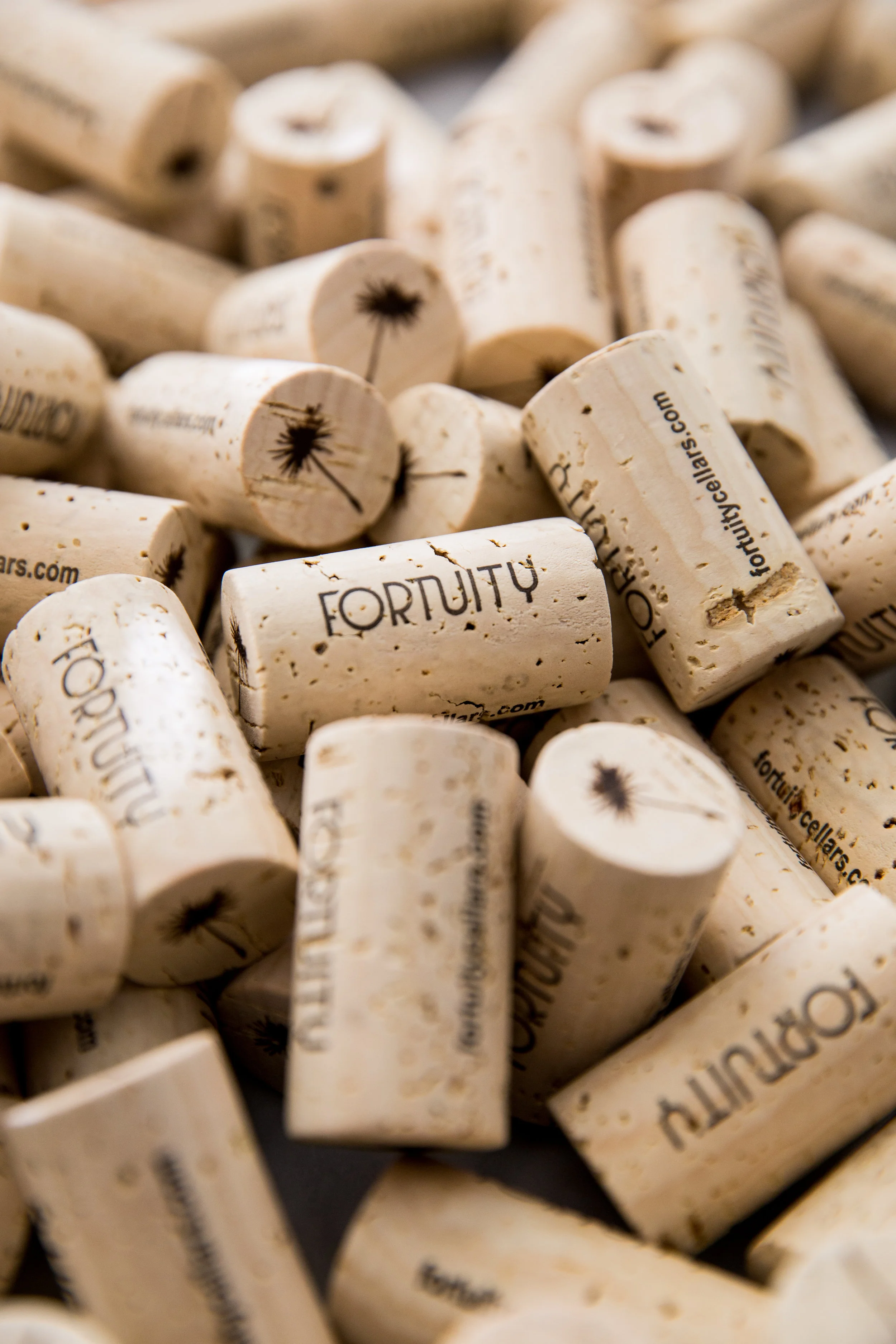 Fortuity_Cellars_Promo_2018_-32.jpg