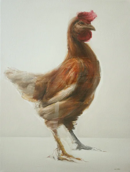 Gallina Standing