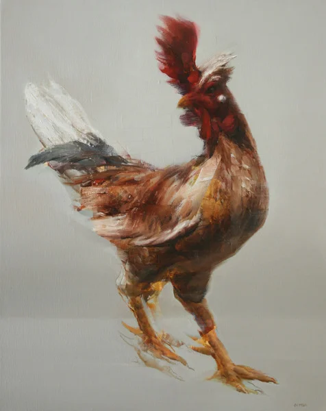 Rooster Andar