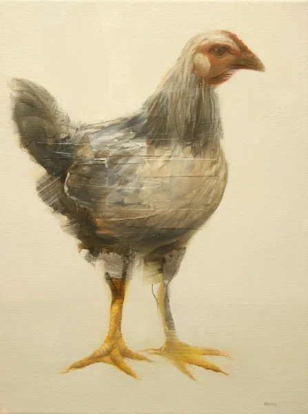 Chicken Ver