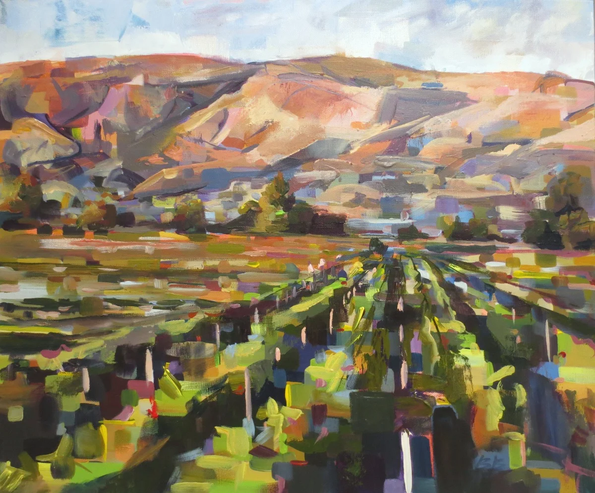 Evening Vineyard