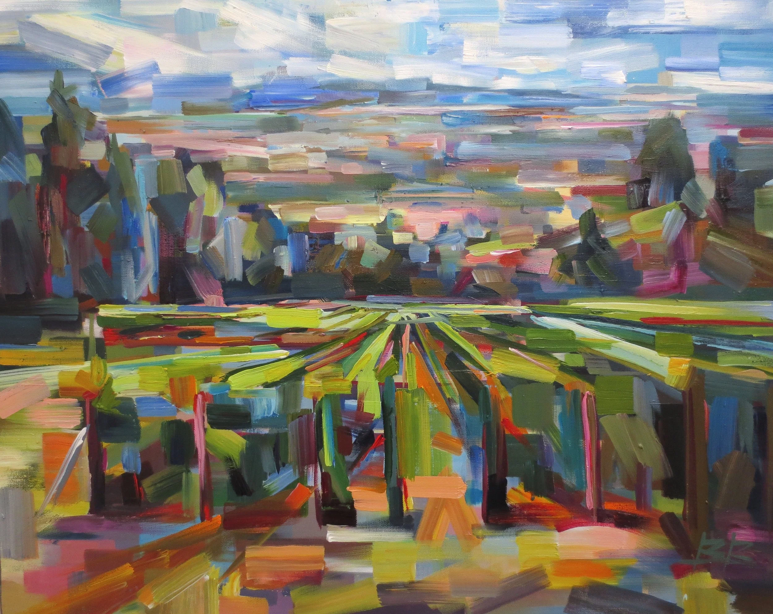 Vineyard Vista