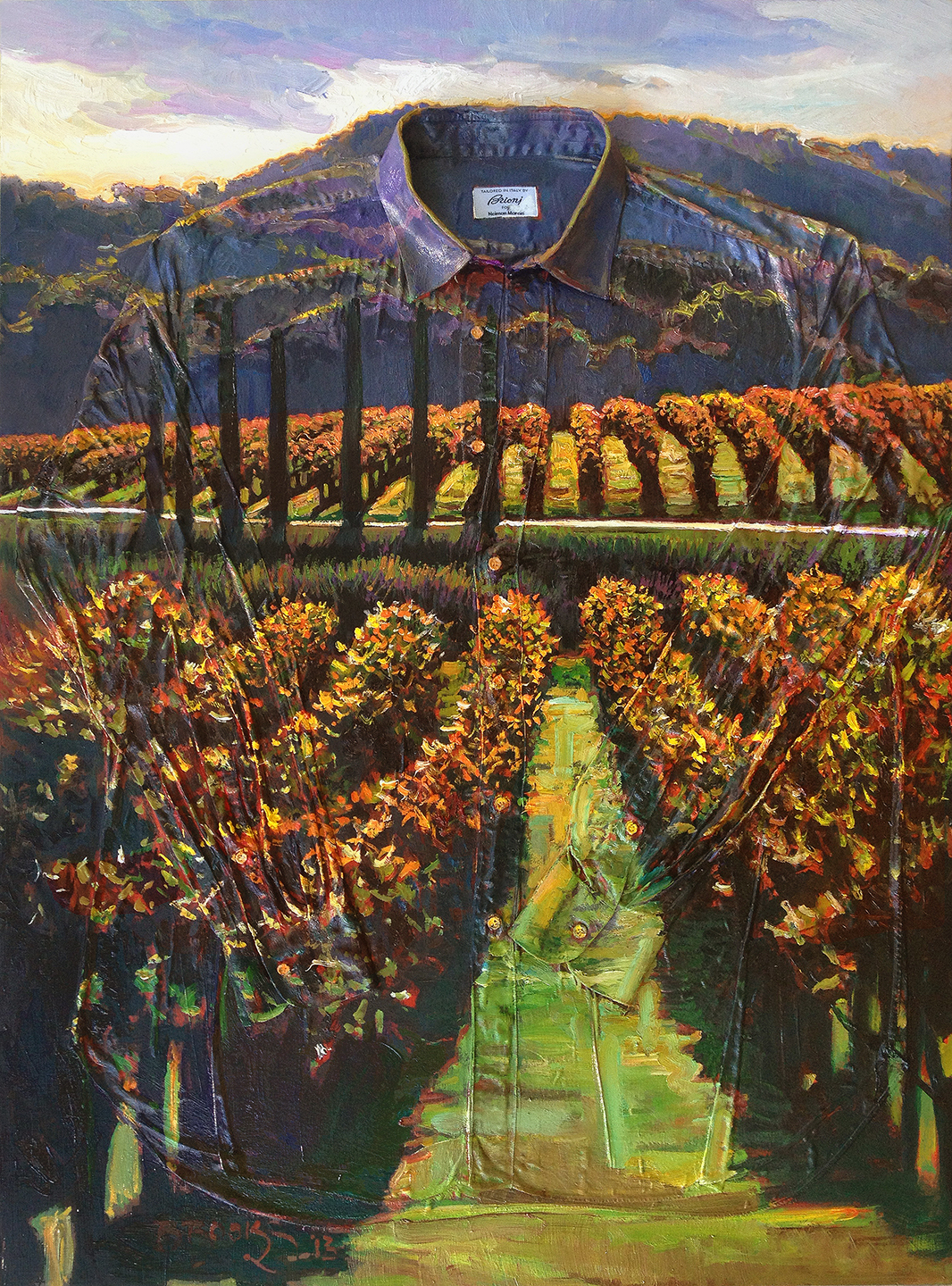 Brioni's Vineyard 1