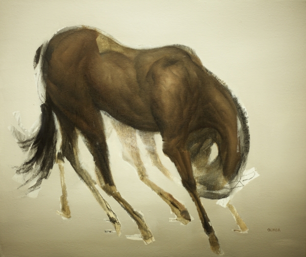 Horse Gesture Study