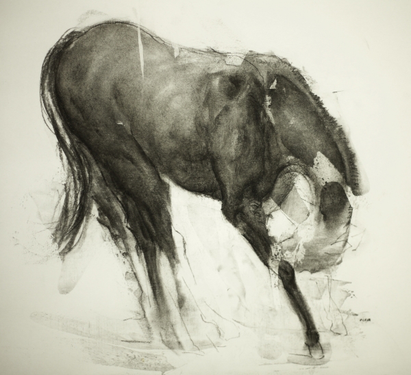 "Horse 9-18-17"