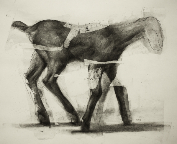 Goat Study