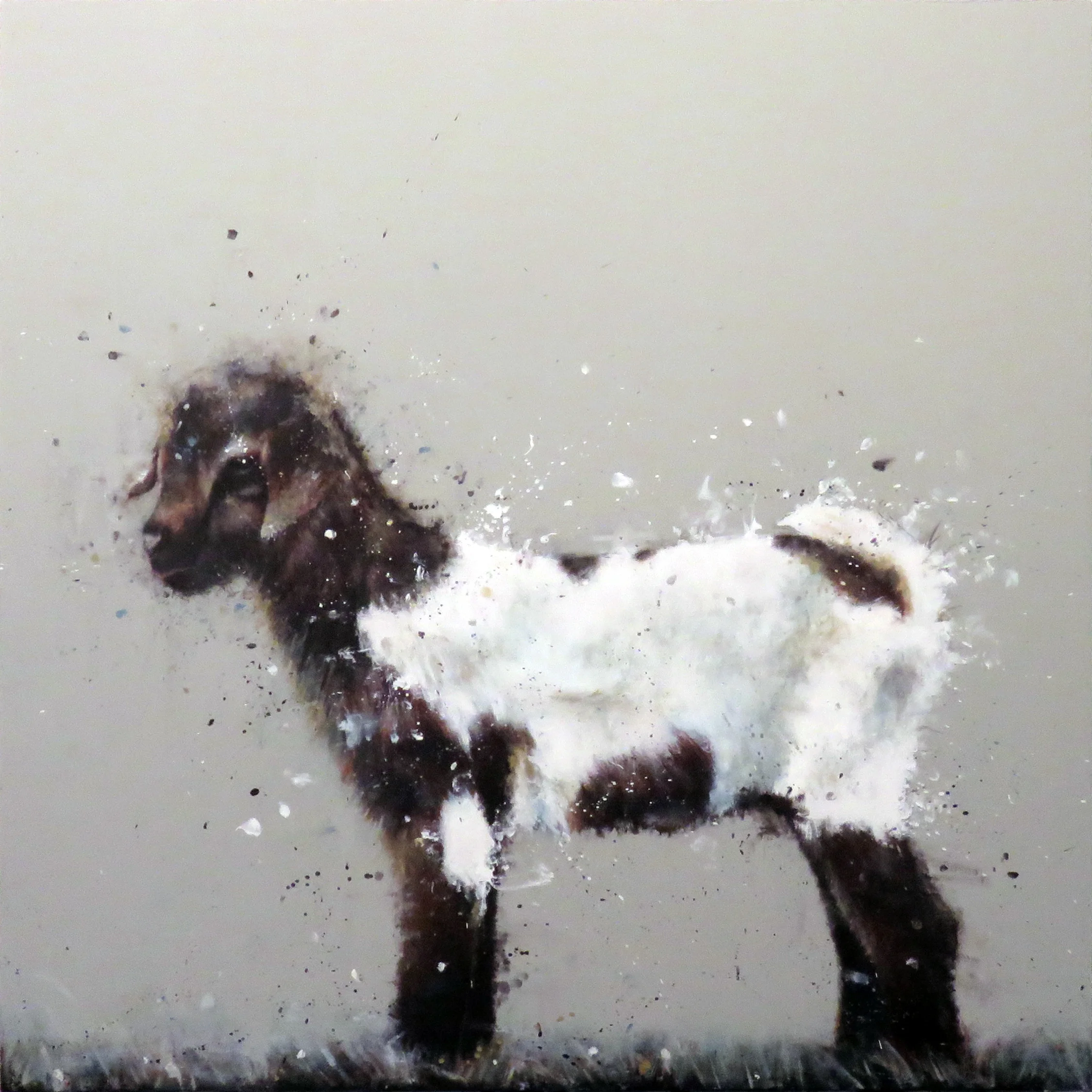 Poncho