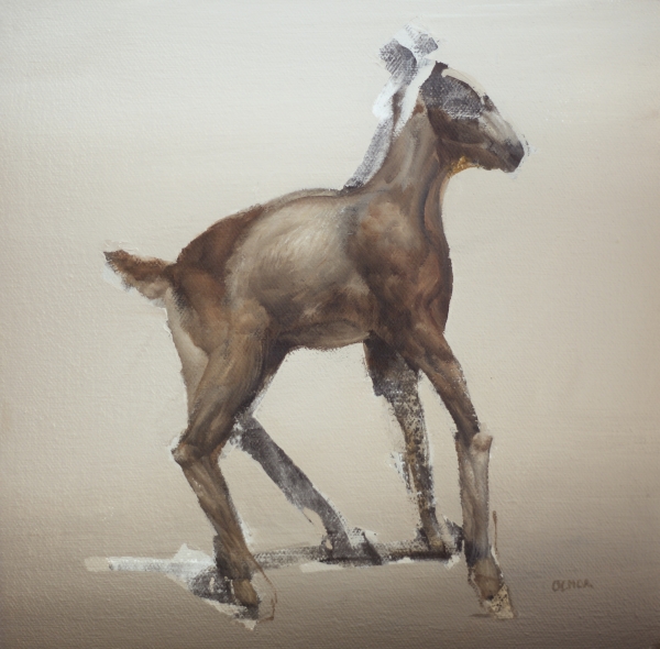 "Baby Goat"