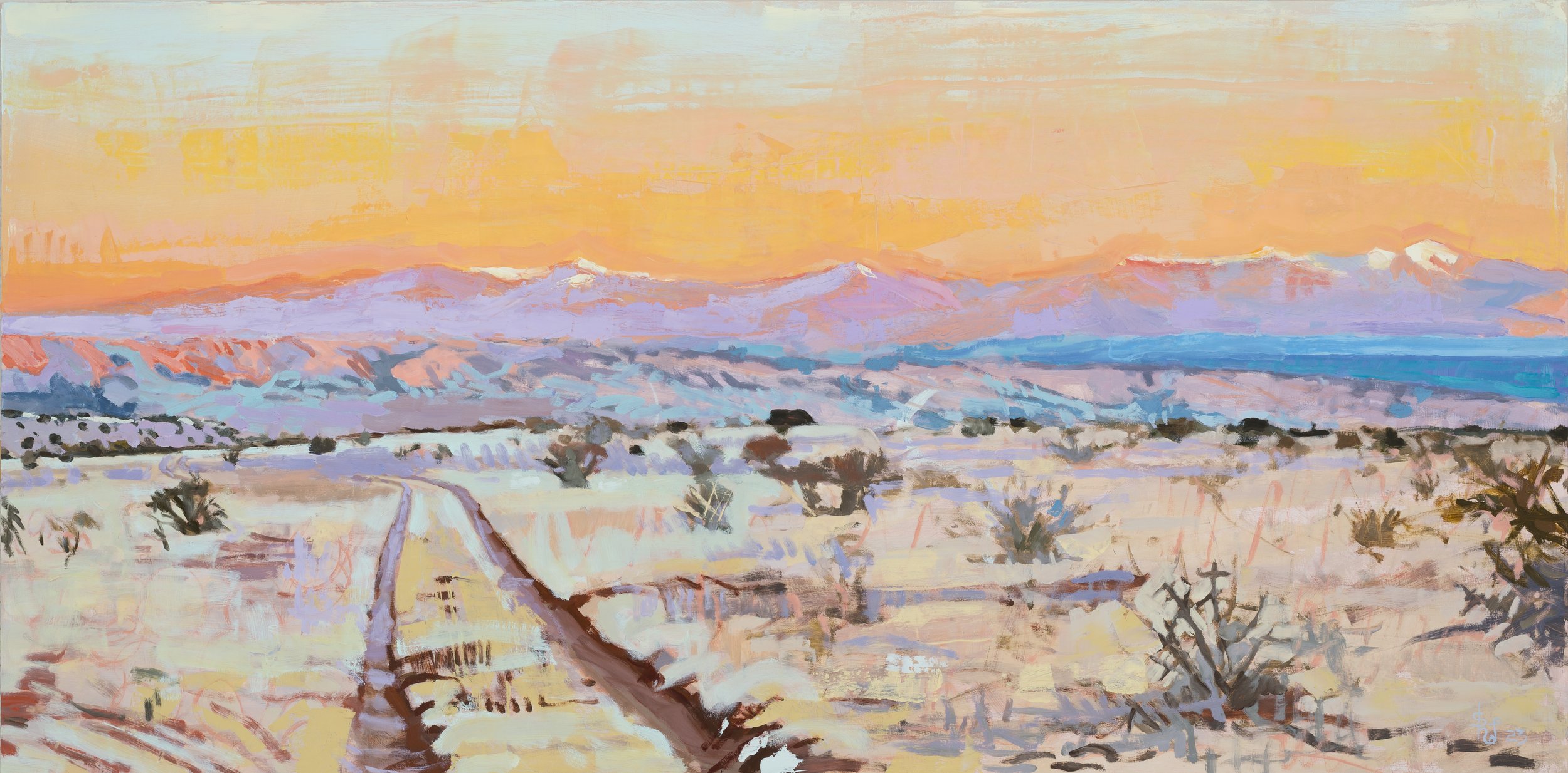 Cholla Meadow Sunset 25.JPG