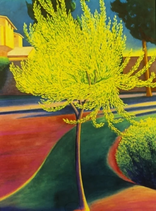 Olive Tree