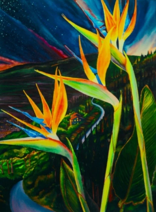 Evening near Cortona