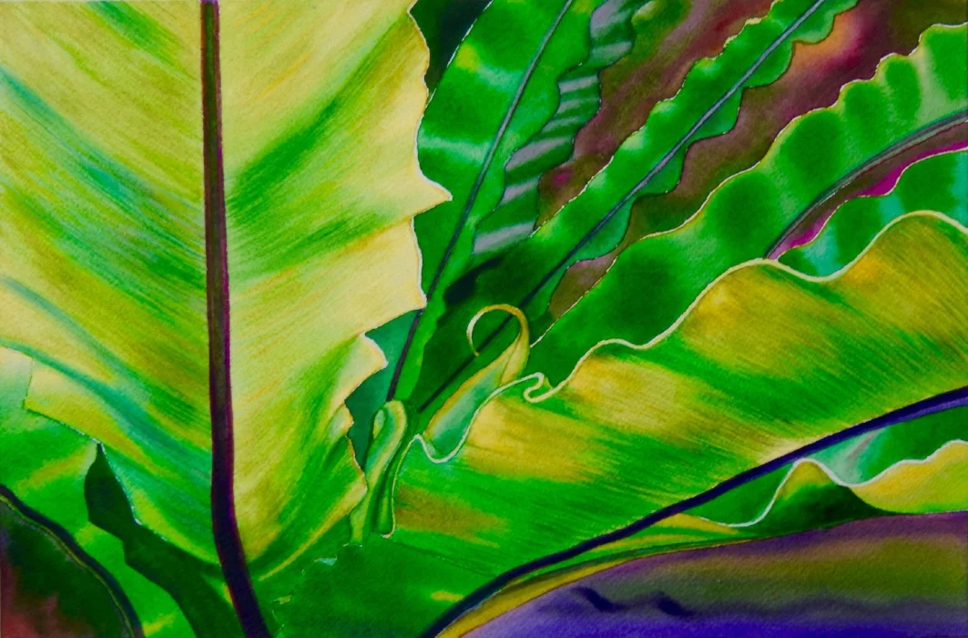 The Queen's Botanical Garden, Thailand, Ferns