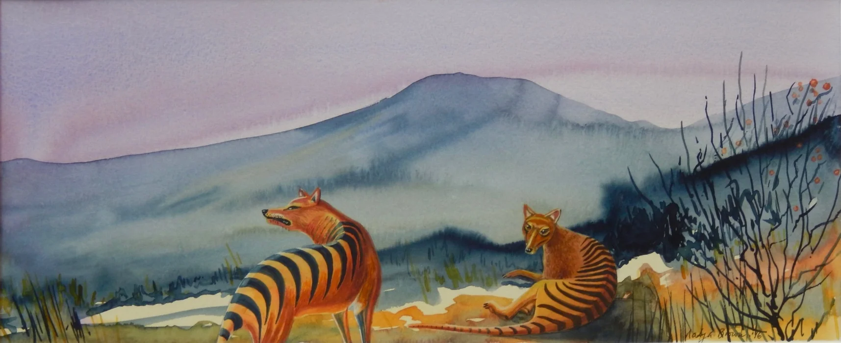 Tasmanian Wolves, Extinct