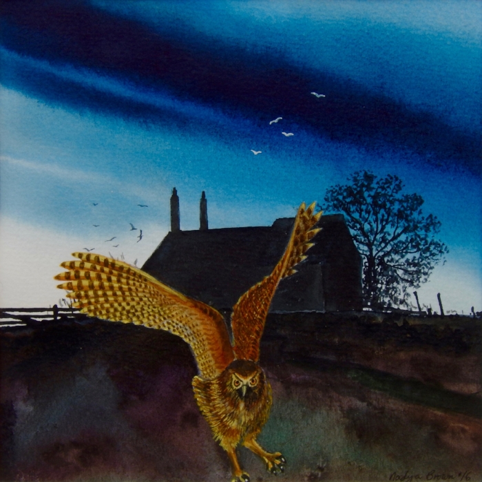 Owl in the Garden