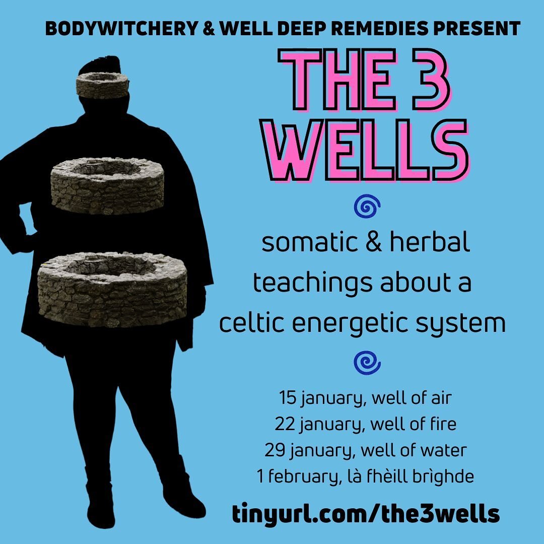 new online class! i&rsquo;m so excited⁣
to announce my collaboration with somatics practitioner @bodywitchery: the 3 wells, somatic &amp; herbal teachings about a celtic energetic system. ⁣
⁣
🌀 beginning in the well of air, we will study &amp; pract